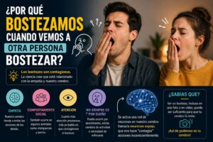 ¿Por Qué Bostezamos Cuando Vemos a Otra Persona Bostezar?